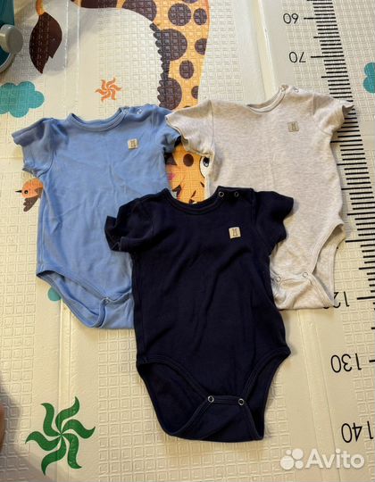 Боди пакетом 74-80