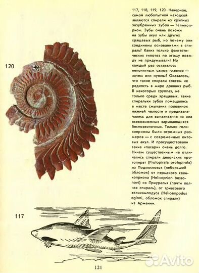 Книги о природе 