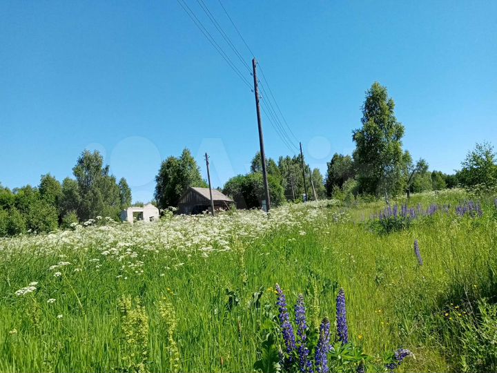 Участок 6,5 сот. (ИЖС)