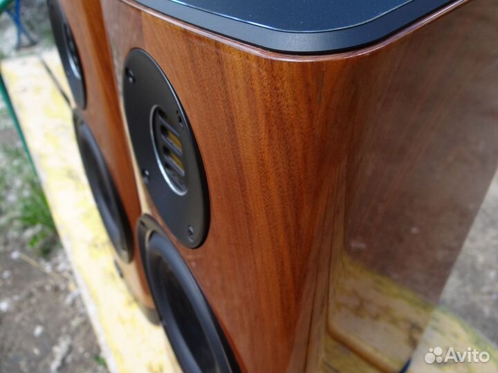 Elac Vela BS 403 High Gloss Walnut