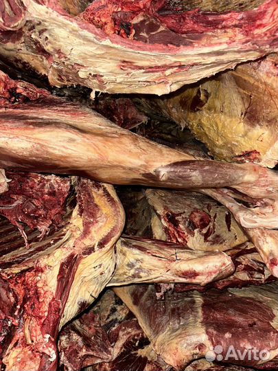 Продам мясо говядина, баранина