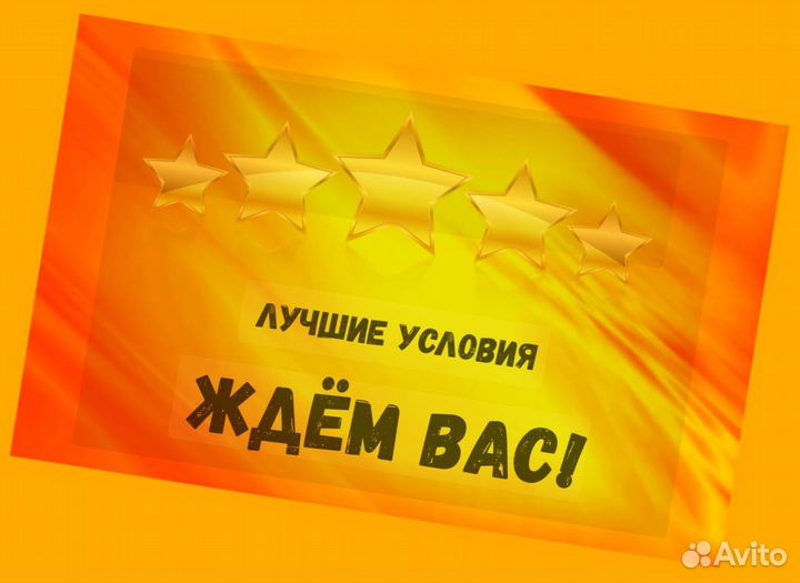 Сортировщик Еженедельный аванс Спецодежда М/Ж