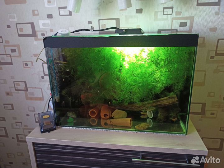Аквариум