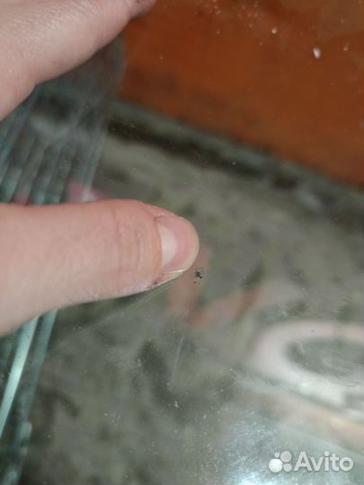 Ремонт Трещин Сколов на лобовом стекл Цена Договар