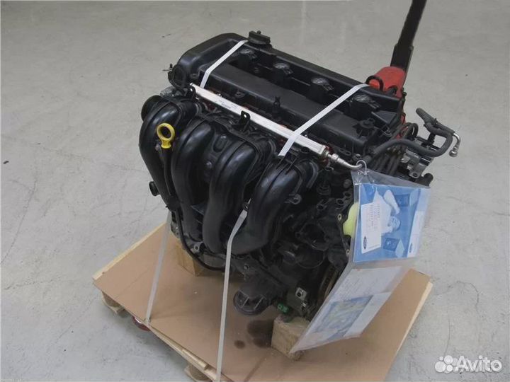 Двигатель qqdb 1.8 Ford Focus 2