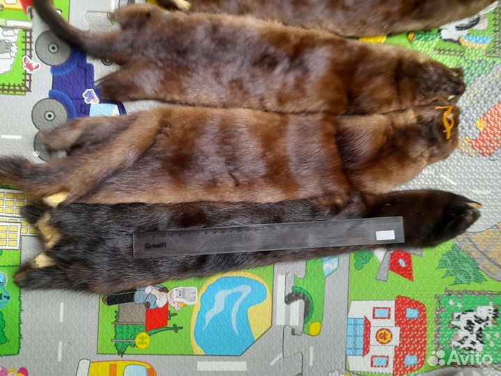 Шкурка шкура норки