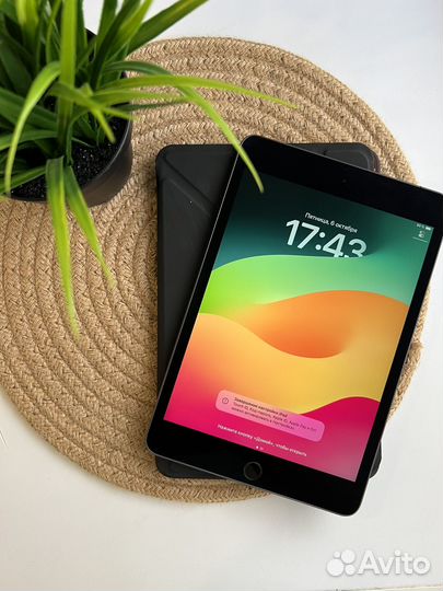 iPad Mini 5 64gb Wi-Fi & Cellular рст