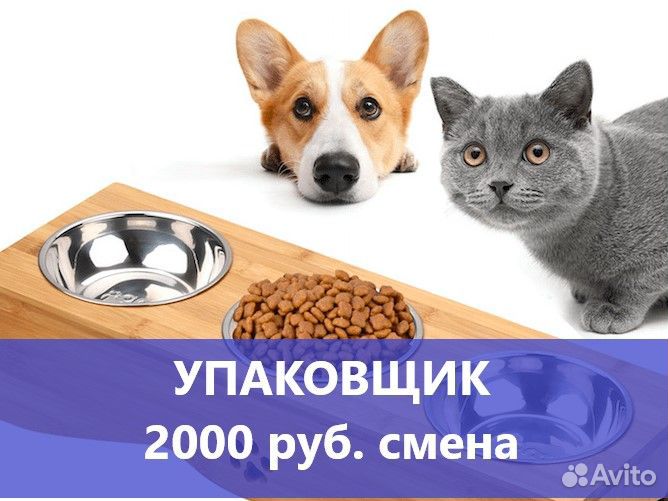 Упаковщик-фасовщик, сидячая работа в Ефремове