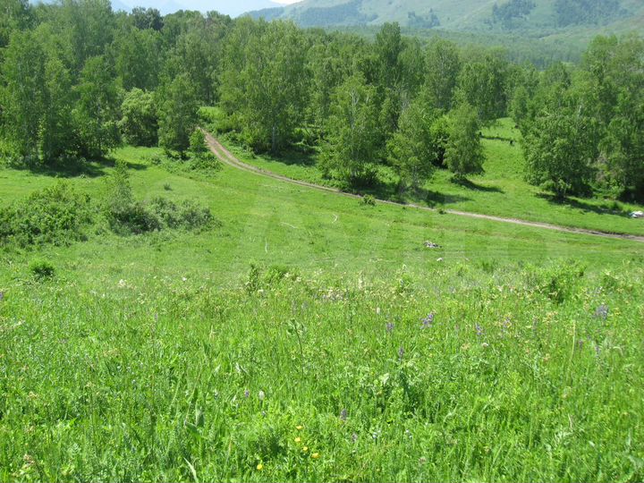 Участок 10,3 га (СНТ, ДНП)