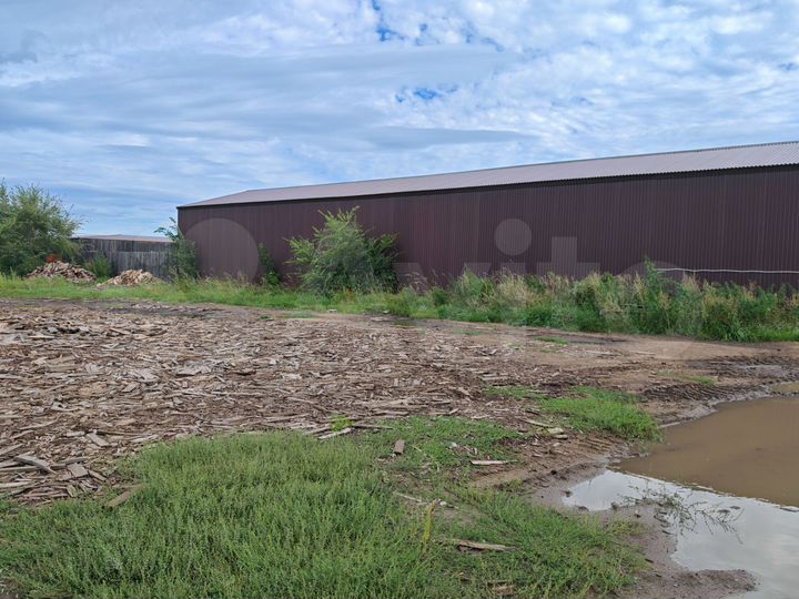 Участок 50 сот. (промназначения)