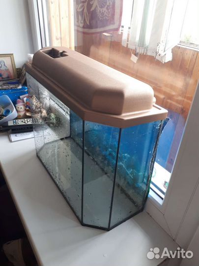 Аквариум