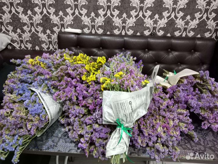 Сухоцвет статица