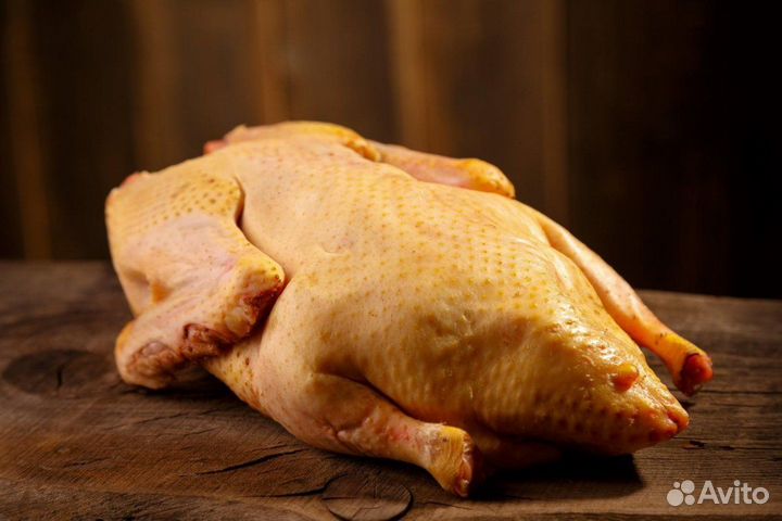 Продаю тушки гусей и уток с доставкой