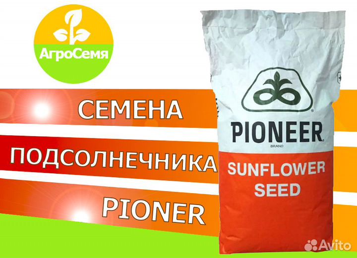 Гибриды семян подсолнечника Пионер пр64А89