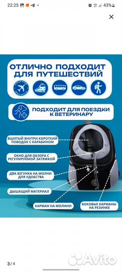 Рюкзак для собак