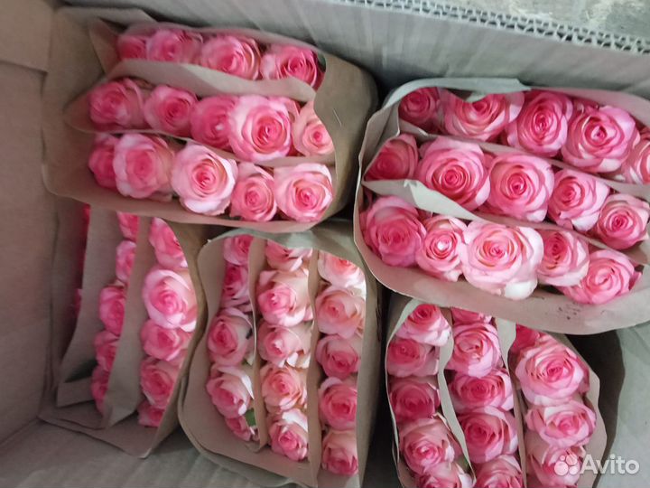 Цветы розы оптом