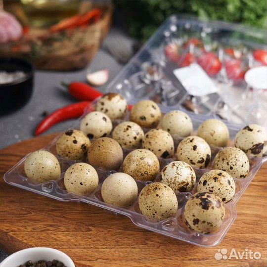 Мясо яйца перепелов