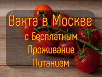 Вахта в Москве - Уборщик урожая (томатов)