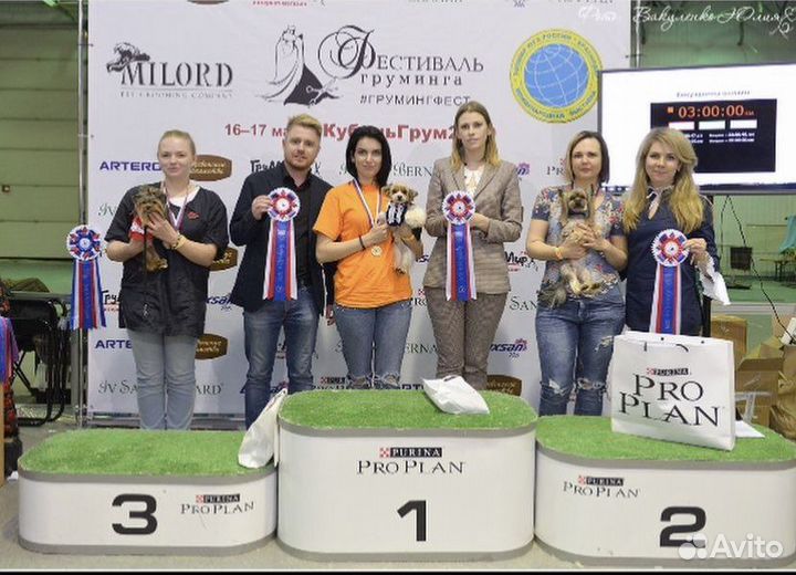 Груминг обучение