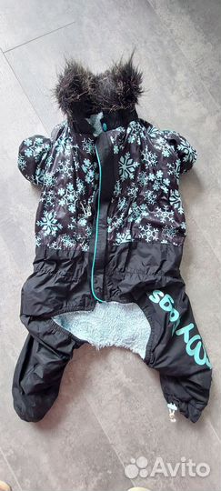 Костюм для маленькой собаки