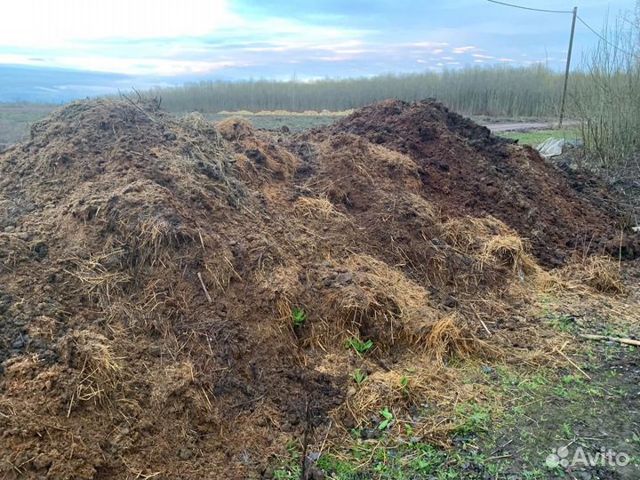 Конский навоз