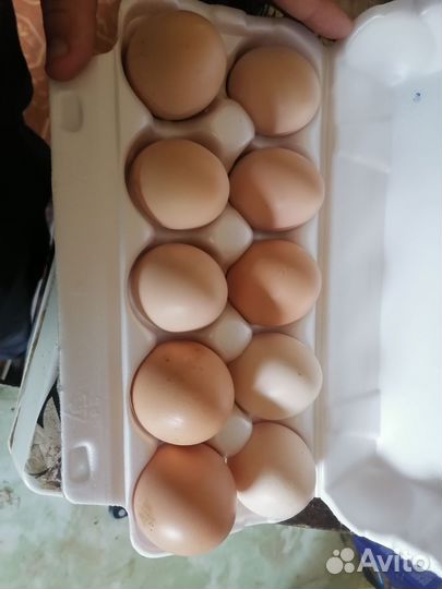 Козье молоко