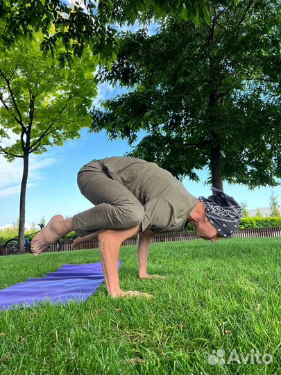 Йога, хатха-йога, все направления,практика 22 года