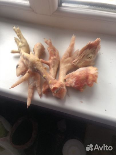 Куриные лапы и головы