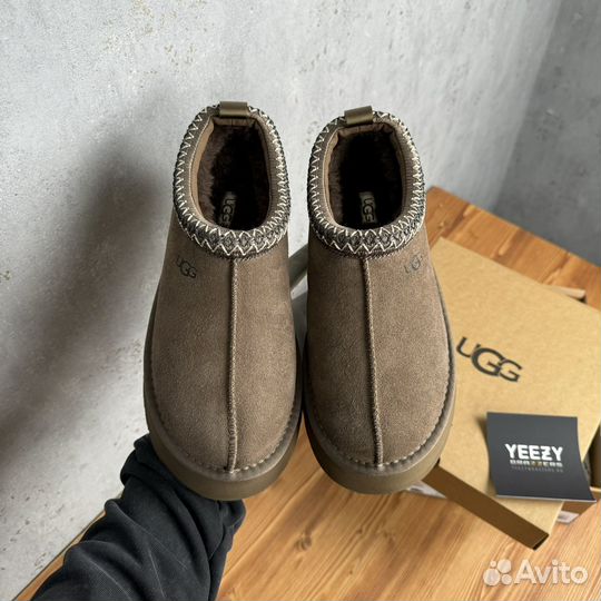 Женские Тапочки Ugg Tazz New Hickory