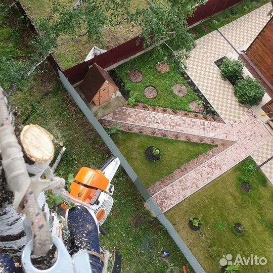 Спил деревьев. Расчистка участков. Удаление пней д