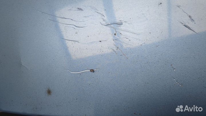 Крышка багажника Ford Focus 2, 2010