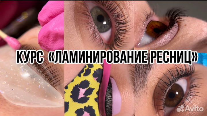 Базовый курс/обучение 