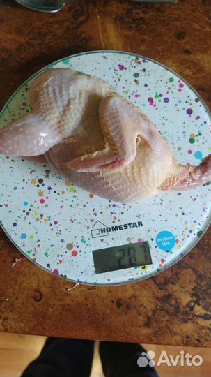 Перепелиное мясо