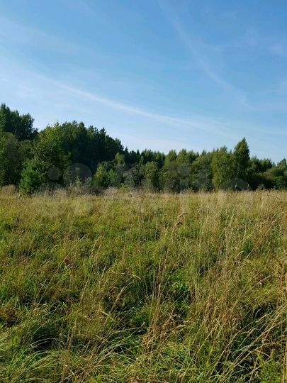 Участок 30 сот. (ИЖС)