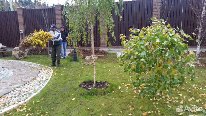 Ландшафтный дизайн.Благоустройсво.Пруд.Газон