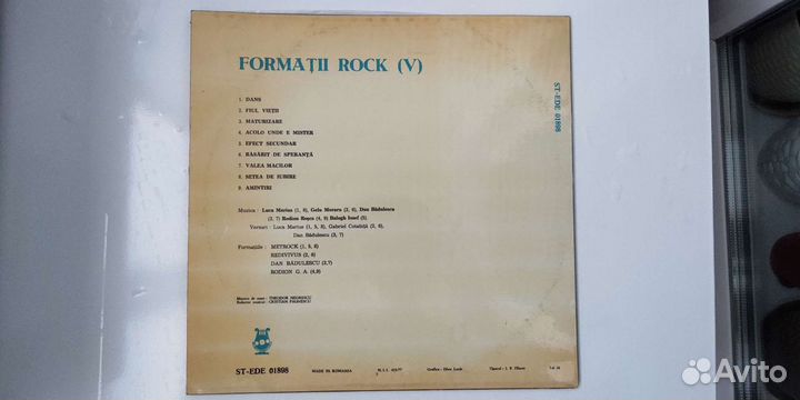 Виниловая пластинка Formatii Rock