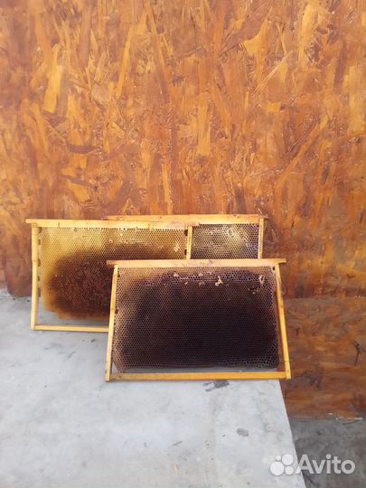 Рамка 200 шт. -25руб