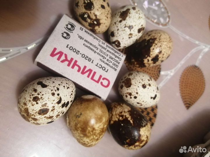 Яйца перепелиные домашние