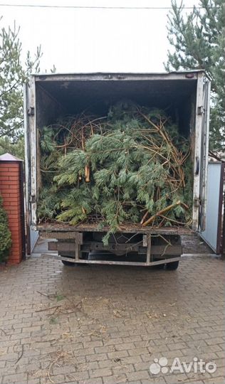 Вывоз мусора