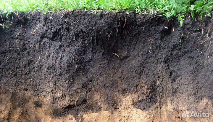 Купить плодородный грунт и навоз в мешках