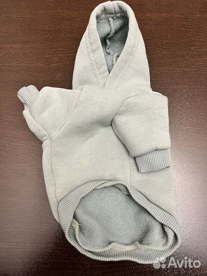 Толстовка для собак мятная чихуахуа xs s