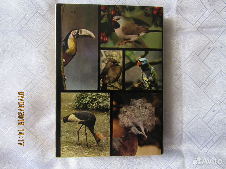 Иллюстрированные энциклопедии. 