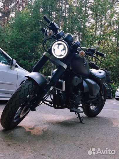 Wels trophy custom