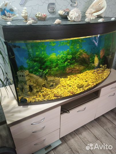 Аквариум с тумбой 300 литров