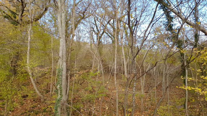 Участок 6 сот. (ИЖС)