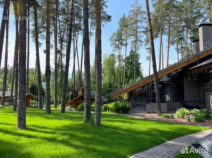 Газон премиум