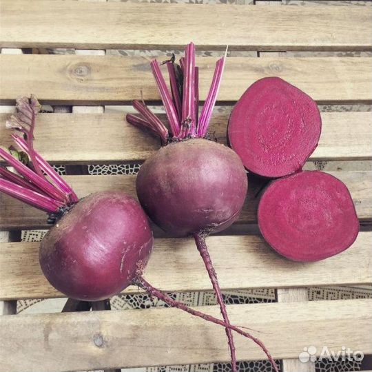 Семена Свеклы 