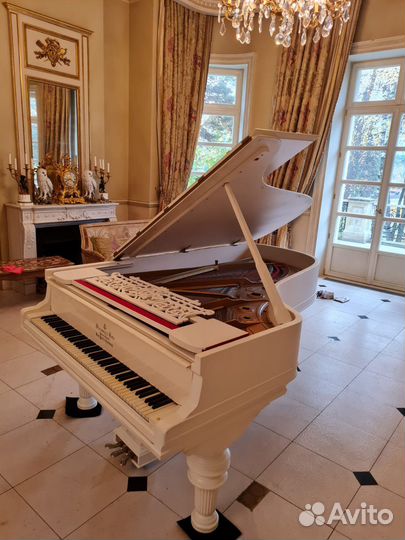 Концертный рояль Steinway & Sons, мод.С