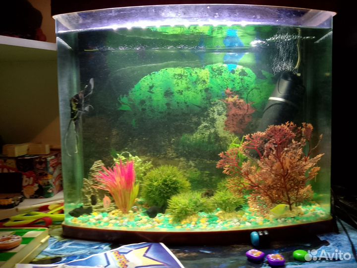 Продаю рыбак