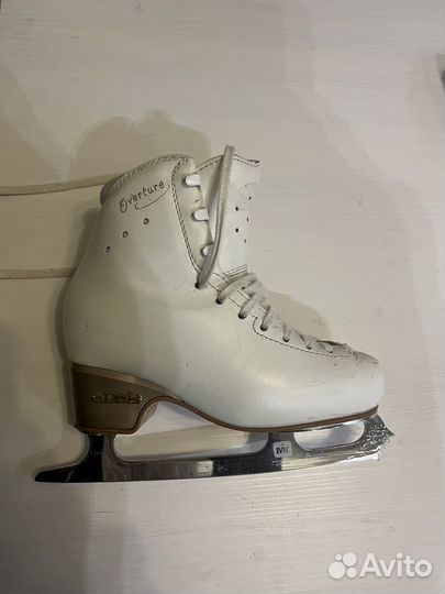 Коньки